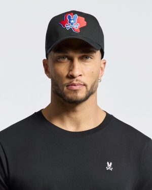 Mens texas baseball cap